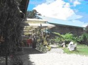 rock inn