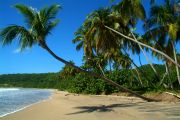 Beach at the La Sagesse Lodge Beach at the La Sagesse Lodge