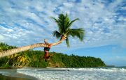 Boys playing with a leaning palmtree Boys playing with a leaning palmtree