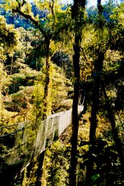 Sky Walk bridge