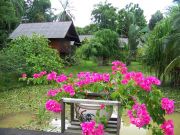 Sepilok Nature Resort