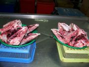 Fish Heads