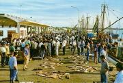Sanlucar de Barrameda travelogue picture