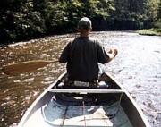 Rowing Down The River
