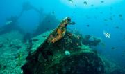 The wreck at Tulamben is Bali's best dive in my opinion The wreck at Tulamben is Bali's best dive in my opinion