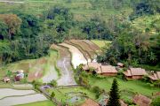 Bali's terraces with rice paddies. Bali's terraces with rice paddies.