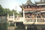 Zigzag Bridge