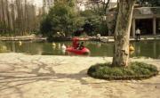 Shanghai travelogue picture