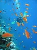 Sharm el-Sheikh travelogue picture
