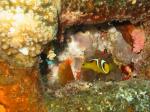 Sharm el-Sheikh travelogue picture