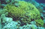 Sharm el-Sheikh travelogue picture