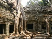 Ta Phrom