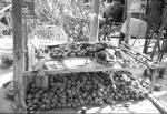 Siem Reap travelogue picture