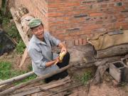 Harvesting honey - mmm!