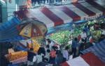 Singapore travelogue picture