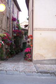 Colourful corner but the light was going fast! Spello