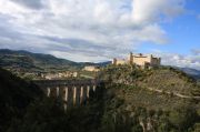 The symbols of Spoleto