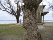 The confluence of the Ohio and the Mississippi rivers