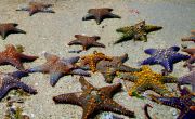 Stone Town travelogue picture