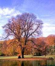 Rosensteinpark Stuttgart