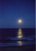 Surfers Paradise travelogue picture