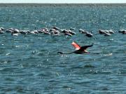 Swakopmund travelogue picture