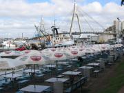 Sydney Fish Market