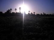 sunset in the oasis