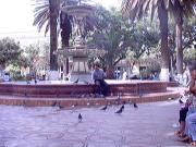 A man feeding the pigeons in the main plaza
