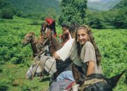 Horseback trips to the mountains Horseback trips to the mountains