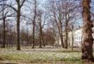 The Hague travelogue picture