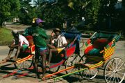 Toamasina's pousse-pousse guys Toamasina's pousse-pousse guys