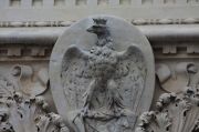 Eagle, Municipal coat of arms of Todi Eagle, Municipal coat of arms of Todi
