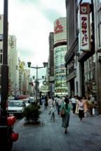 The Ginza District