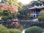 Tokyo travelogue picture
