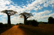Toliara travelogue picture
