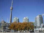 The Harbourfront