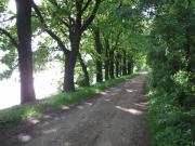 Trails to Rozmberk