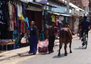 Downtown Trincomalee's Main Street