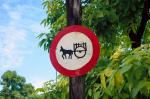 Trinidad travelogue picture