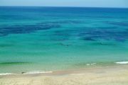 Zanzur beach