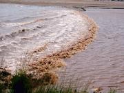 Tidal bore