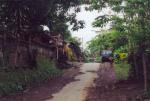 Ubud travelogue picture