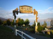 Entrance To A Vineyard