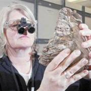 Mamoth Tooth at the Lab