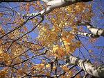 Vancouver travelogue picture