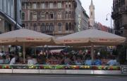 Coffee houses, a speciality in Vienna Coffee houses, a speciality in Vienna