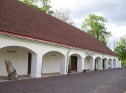 The Forest Museum