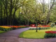 Keukenhof