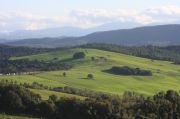 the landscape